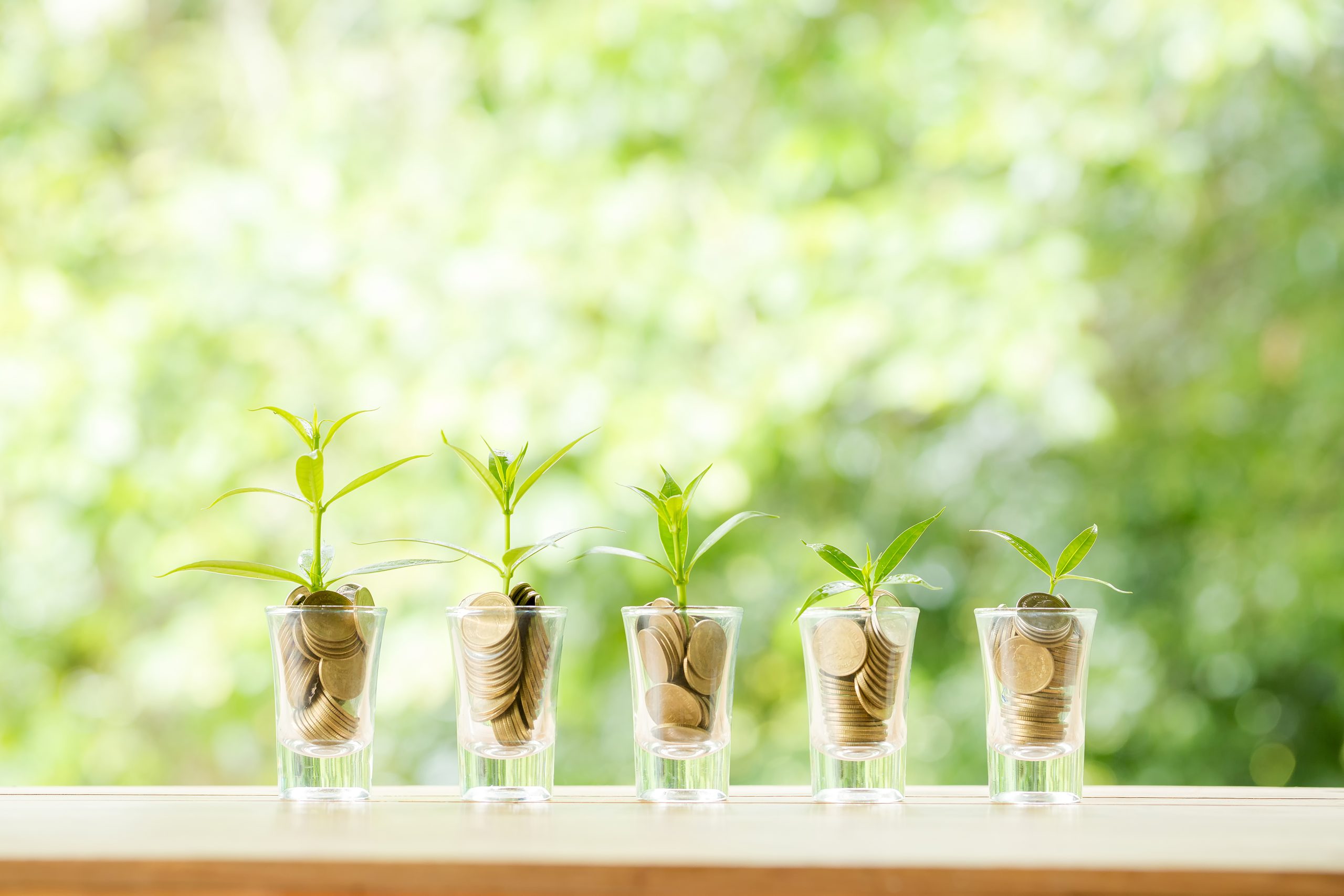 副業サロンを成功に導く資金計画と金の使い方